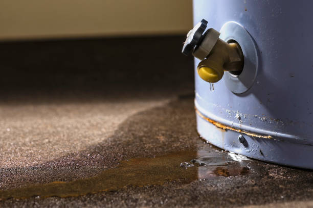 Best Carpet water damage restoration  in Fairview, UT
