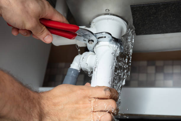 Best Mold removal after water damage  in Fairview, UT