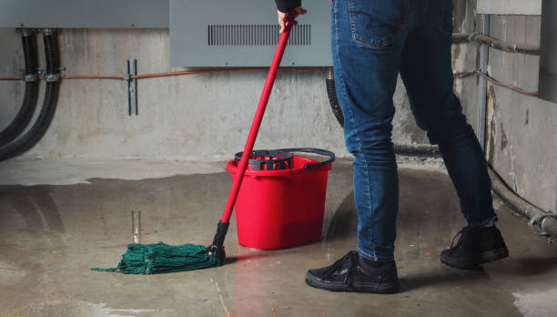 Water damage restoration mold remediation in Fairview, UT