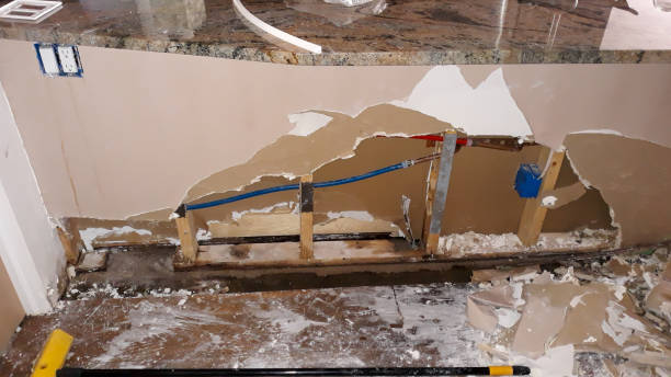 Best Flooded house restoration  in Fairview, UT