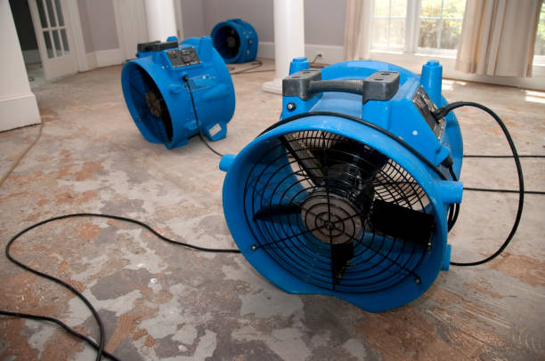 Best Residential water damage restoration  in Fairview, UT