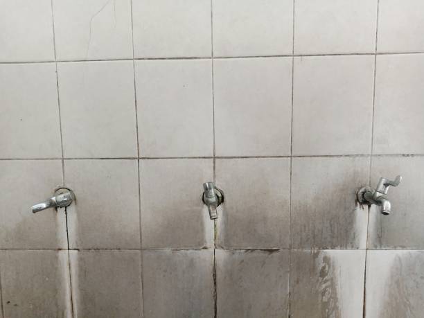 Best Professional water damage repair  in Fairview, UT
